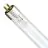 Philips T5 Short UV - C 6W - Ultravioletto | 21cm