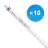 Multipack 10x Philips Tubo LED T5 MASTER (HF) High Efficiency 16.5W 2500lm - 865 Luce del Giorno | 115cm - Sostitutiva 28W