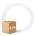 Multipack 10x Ledvance Tubo LED T9 Value Circolare (EM/Mains) 18.3W 2200lm - 840 Bianco Freddo | Sostitutiva 32W